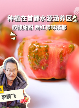 自然成熟西红柿绿手指安全好吃