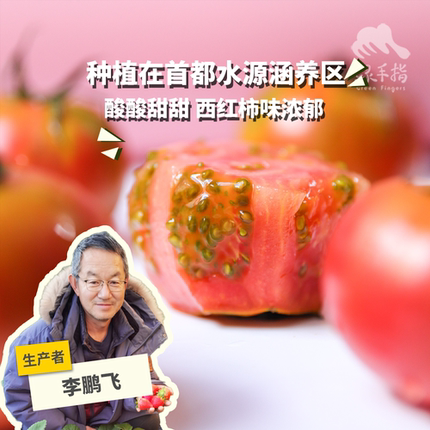 有机草莓西红柿 3斤/5斤 河北  绿手指份额农园