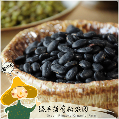 绿手指有机农园生态黑豆