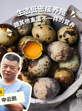 绿手指鹌鹑蛋无激素杂粮喂养