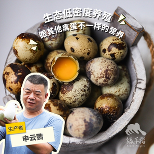 生态鹌鹑蛋1kg新鲜孕妇宝宝辅食 绿手指份额农园