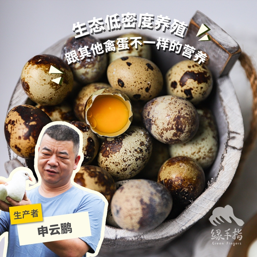 绿手指鹌鹑蛋无激素杂粮喂养