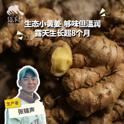 生态小黄姜 绿手指份额农园