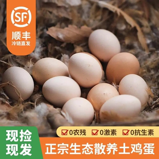 30枚 徽芗记黄山生态无抗放养五谷散养土鸡蛋 包邮 60枚 顺丰