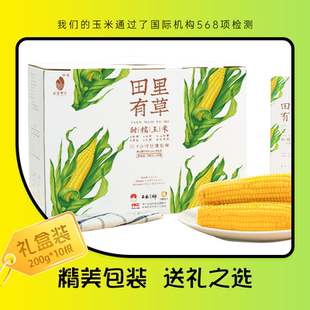 200g礼盒装 165g 10穗 新鲜玉米 田里有草当季