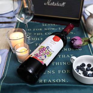 NORTH 北箭庄园格鲁吉亚进口迪高米和平鸟干红葡萄酒750ml ARROW