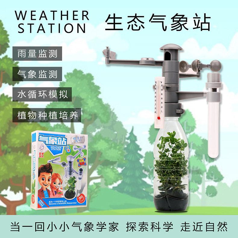 儿童太空气象站植物观察风向标