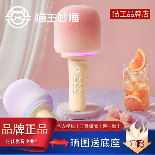 猫王灵感棒棒糖K歌麦克风小音箱