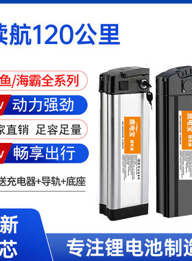 代驾电动车折叠自行车锂电池48V30A电动车电池大容量海霸银鱼款式