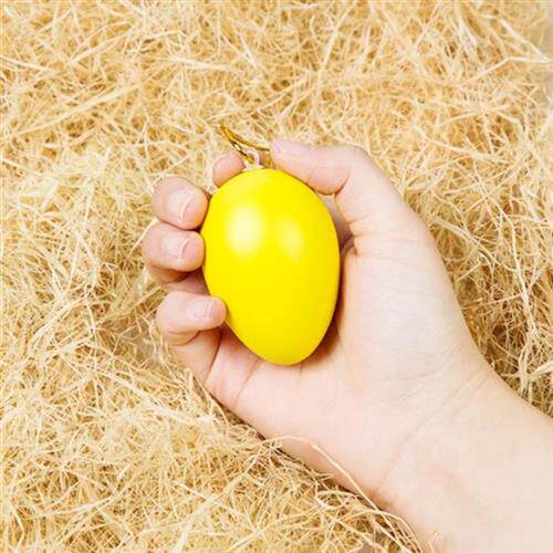 彩绘童趣益智造型鸡蛋壳做作品玩具模型蛋美工区女童仿真小班上色