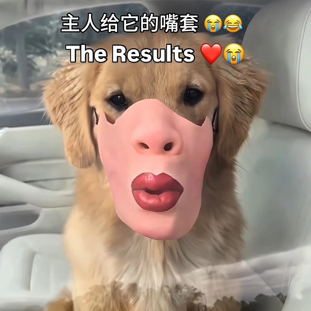 搞笑狗嘴套宠物搞怪面具图片