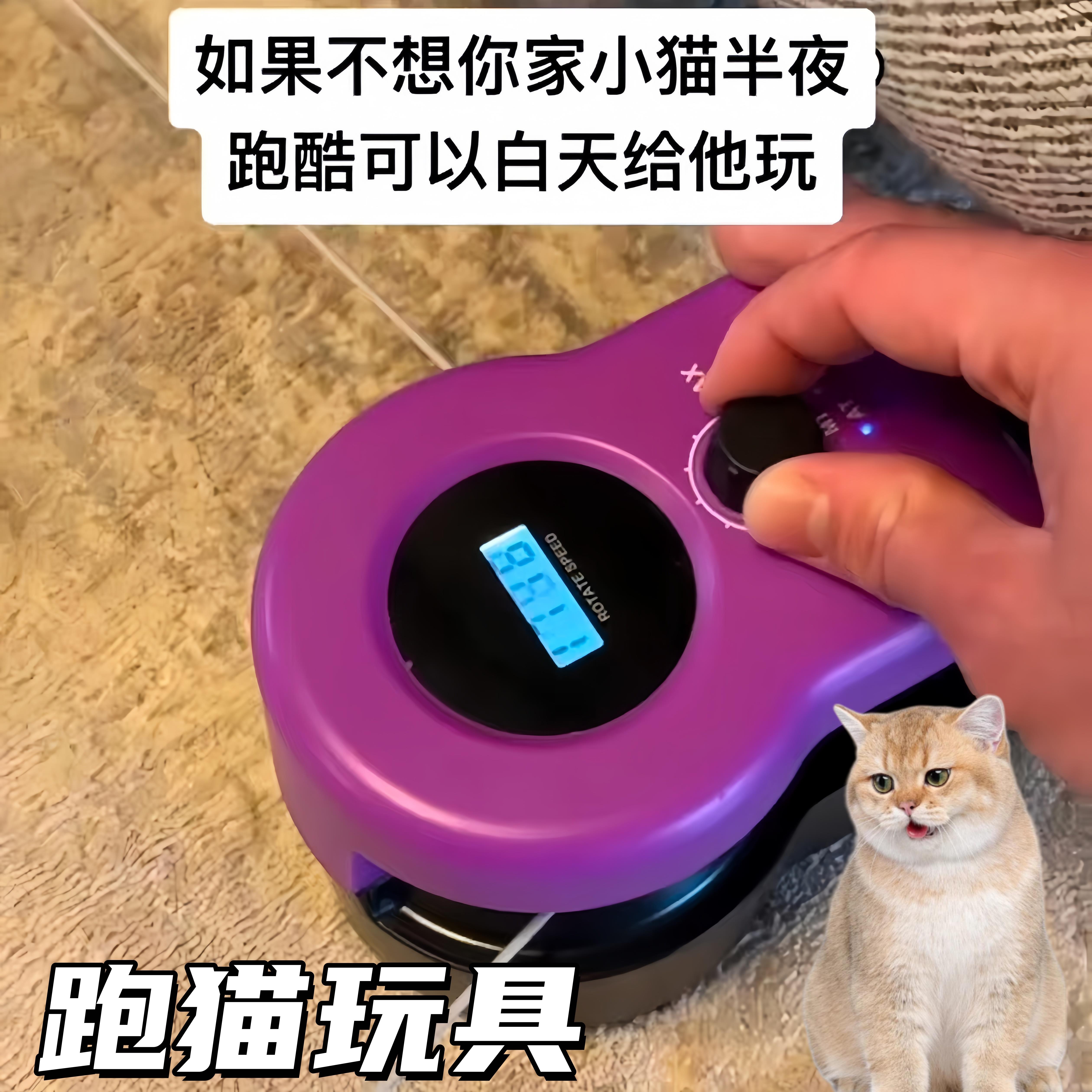 跑猫玩具遥控互动遛猫器