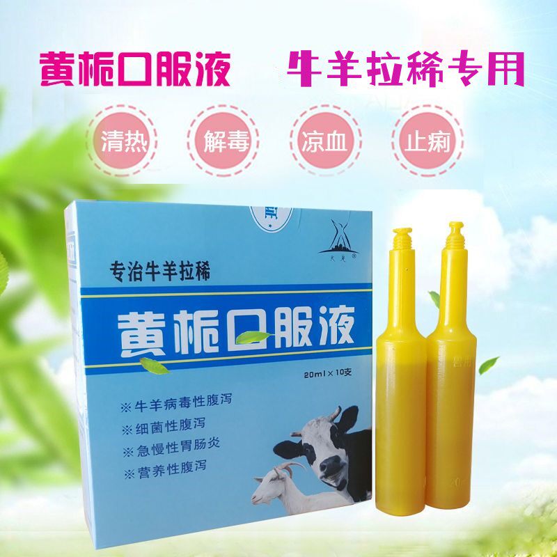 黄栀口服液兽用 20ml10支犊牛羔羊腹泻黄白痢 水样大便反复拉稀