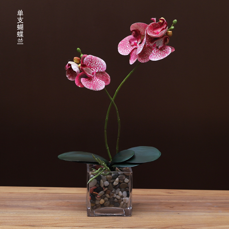 假花家居装饰花仿真蝴蝶兰花绿叶单支可弯曲客厅餐桌茶桌酒柜插花