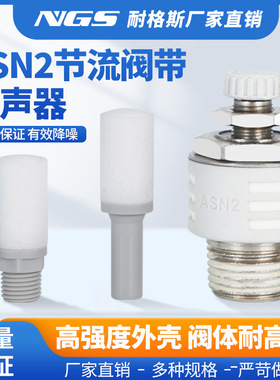 树脂节流消音消声器ASN2-M5/01/02/03/04直插式AN15/20-C06 08 10