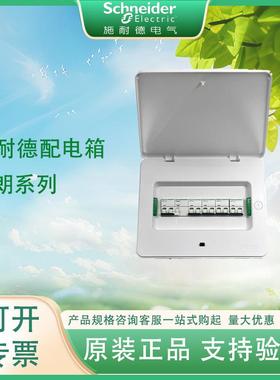 施耐.德天朗配电箱暗装TLAB明装TLMB回路pz强电箱成