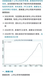 273w+上市公司专利数据明细（1988-2023年） 网盘秒发
