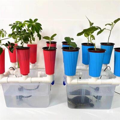 桌面潮汐鱼菜共生无土栽培过滤系统阳台种菜箱亲子教学种植器具