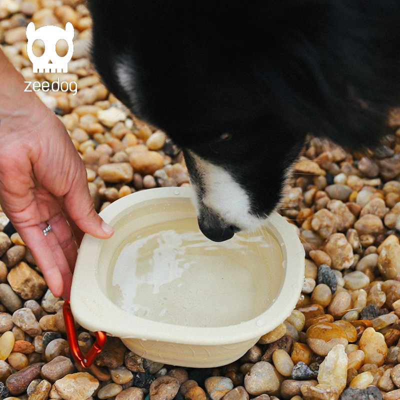 ZeeGog狗狗随行碗硅胶折叠碗宠物