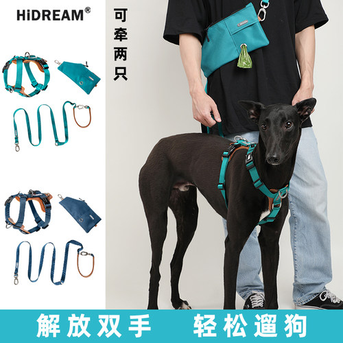 狗狗牵引绳胸背带遛狗绳链一拖二