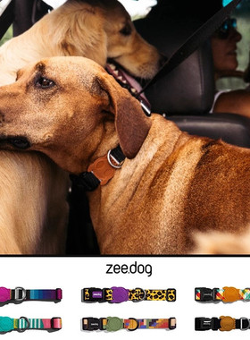 Zeedog美国潮牌狗狗项圈大中小型犬防咬牵绳个性豹纹调节宠物脖圈