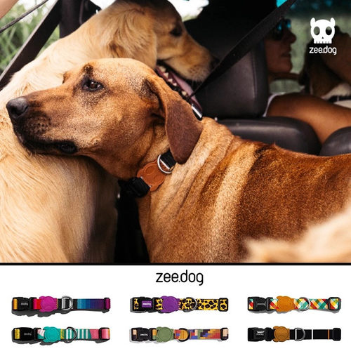 Zeedog潮牌狗狗项圈大中小型犬