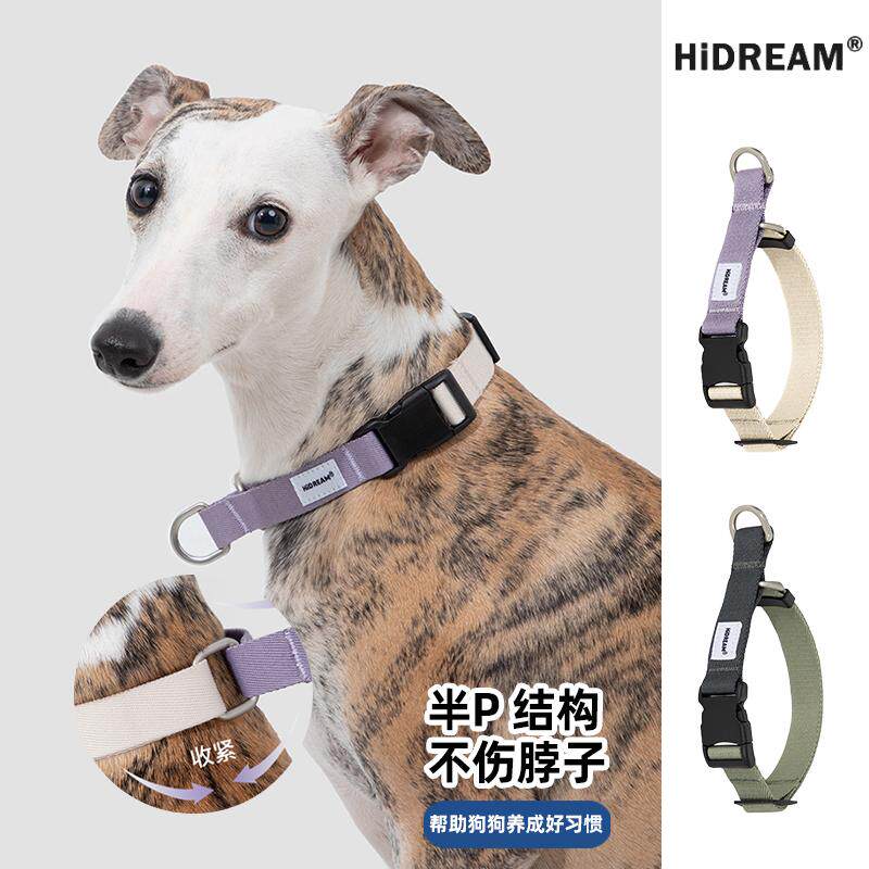 半P项圈HiDREAM狗狗遛狗脖圈狗链图片