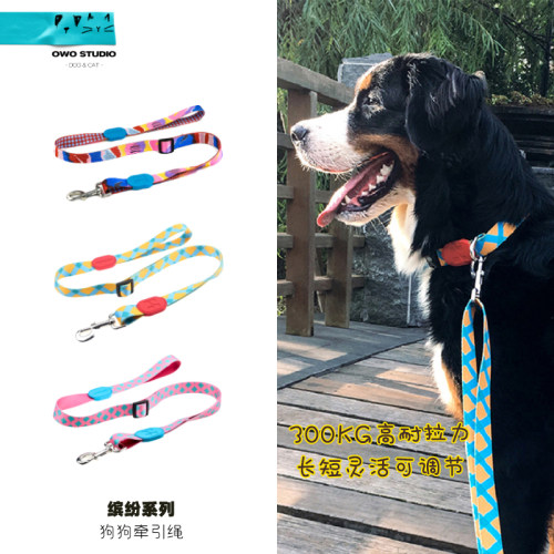 狗狗牵引绳项圈遛狗小中型犬可调