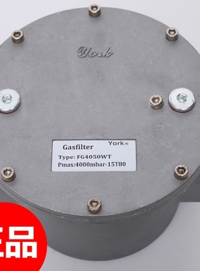 York约克燃气过滤器FG4015WTFG4020WTFG4025WTFG4040WT燃烧机配件
