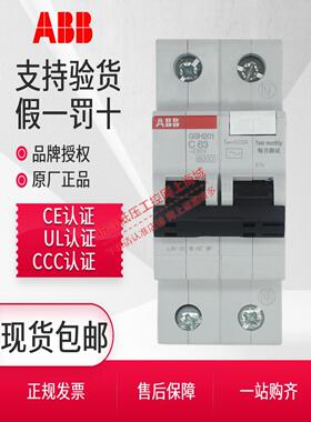ABB漏电保护器GSH203/204空气开关断路器1P/2P/4P家用6A/63A空调