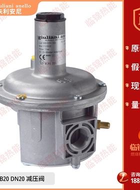 燃气减压阀 稳压阀FG1B15/ FG1B20 /FG1B25意大利朱利安尼调压阀