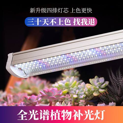 T20T8灯管植物生长灯