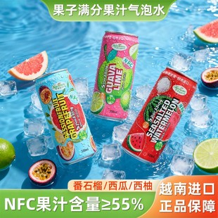 越南进口果子满分西柚青柠番石榴西瓜气泡水330ml 6果汁碳酸饮料