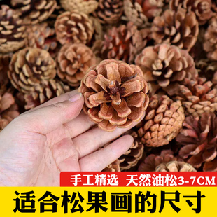 饰摆件幼儿园环创手工diy材料超大松果球干花 饰工艺品松果松塔圣诞装 天然松果3 7CM适合松果画尺寸装