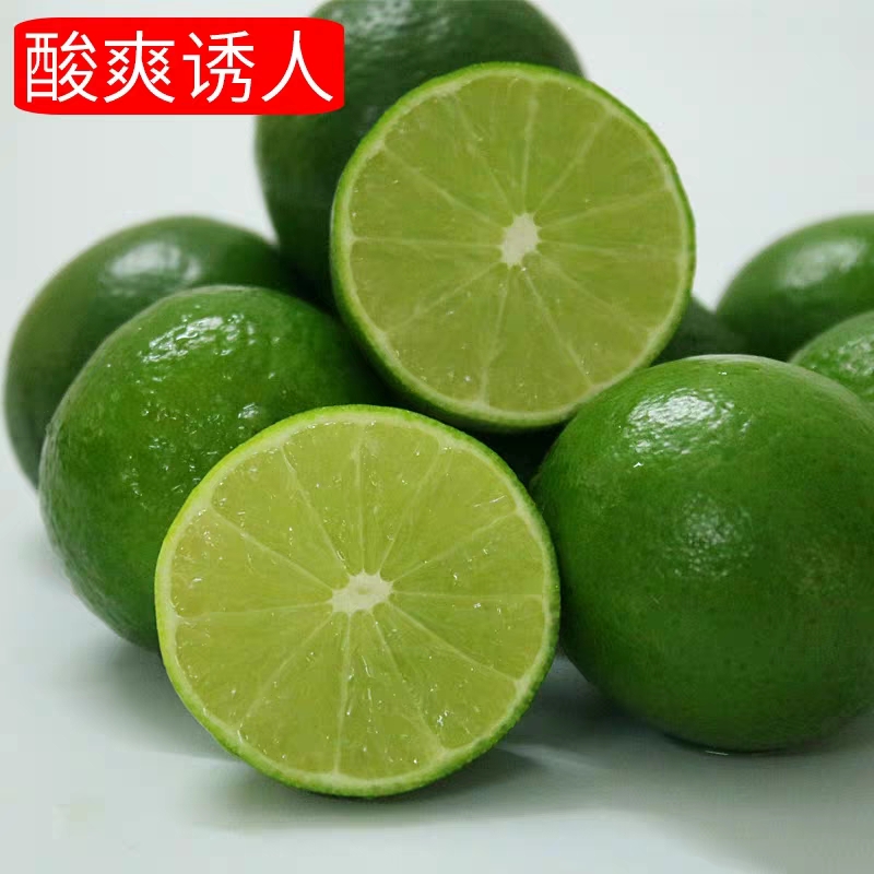 【塔希提 无籽青柠檬】5斤一级果泰国品种新鲜水果皮薄多汁