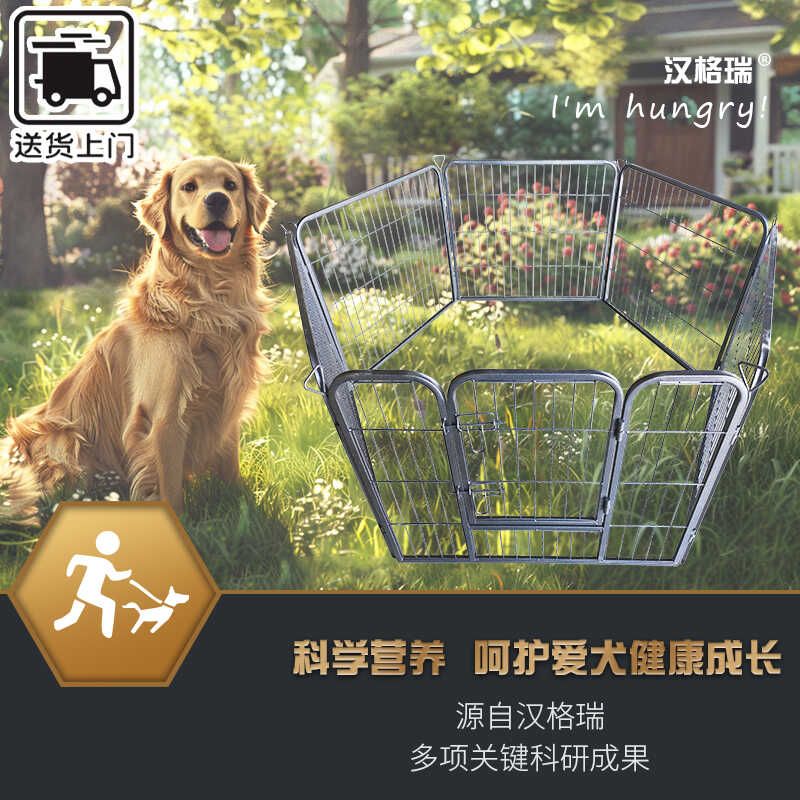 加粗方管室外狗栅栏汉格瑞小型犬