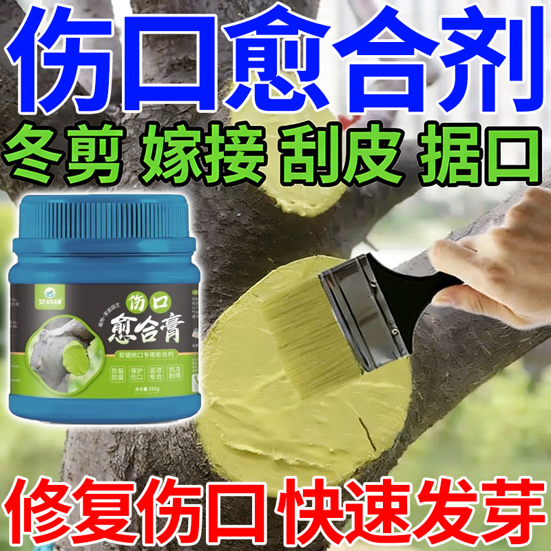 植物伤口愈合剂苗木嫁接剪枝伤口愈合剂果树大树桩切口专用涂膜剂,鲜花速递/花卉仿真/绿植园艺,家庭园艺肥料,淘宝优惠券,粉丝福利购,淘宝优惠卷