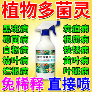花病康喷剂多菌菌灵杀菌剂花卉植物通用兰花黑斑病白粉病专用