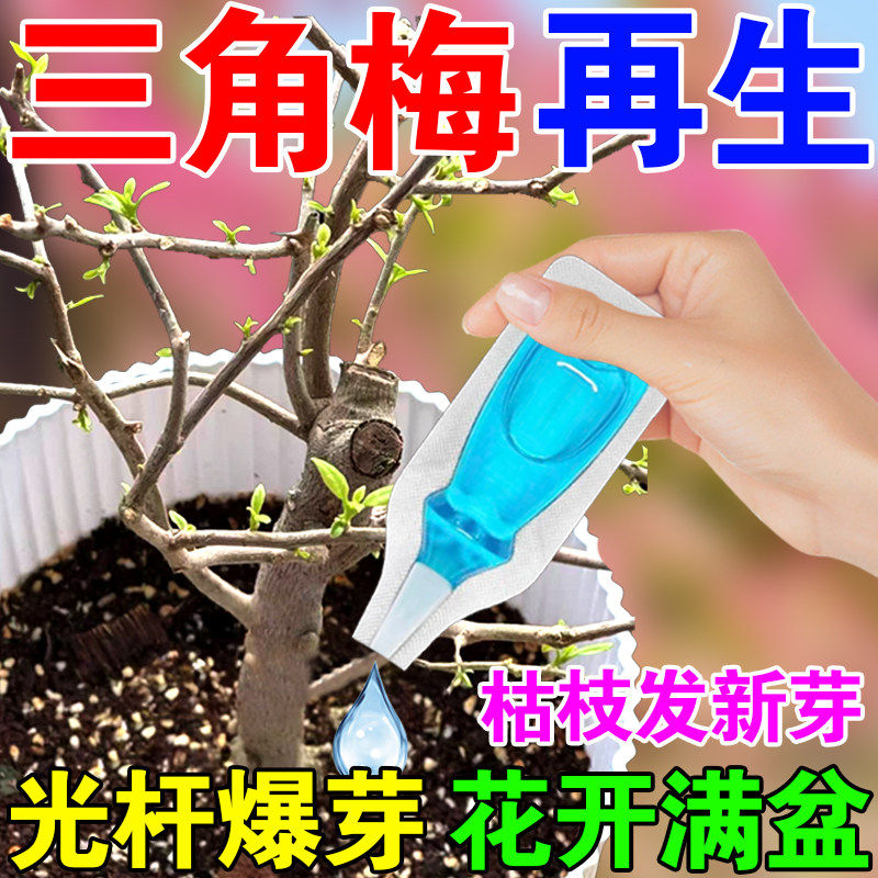 三角梅专用营养液催芽促花再生剂花卉盆栽枯树烂根黄叶通用水溶肥,鲜花速递/花卉仿真/绿植园艺,家庭园艺肥料,淘宝优惠券,粉丝福利购,淘宝优惠卷