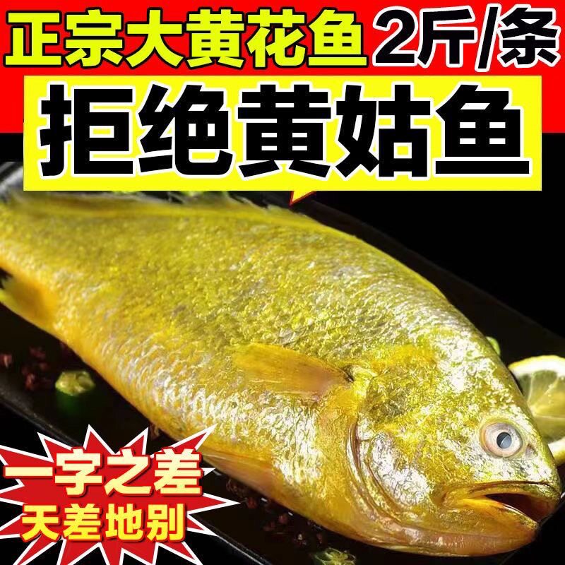 大黄花鱼正宗黄花冷冻当季海鲜