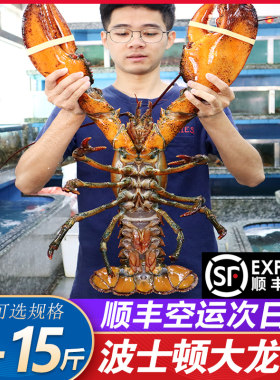 波士顿龙虾新鲜生冻超特大3-15斤海鲜顺丰包邮冷冻澳洲加拿大龙虾