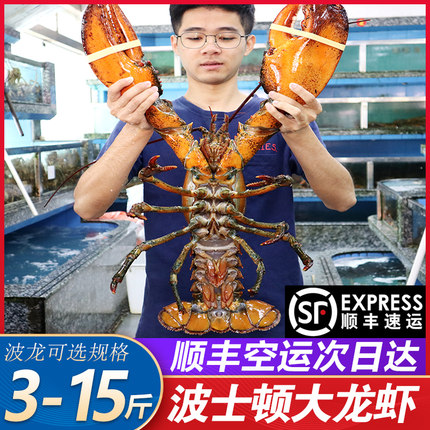 波士顿龙虾新鲜生冻超特大3-15斤海鲜顺丰包邮冷冻澳洲加拿大龙虾