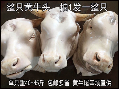 1整个生牛头重40-50斤带舌头
