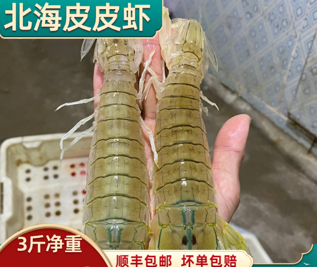 北海皮皮虾鲜活蒸熟即食琵琶虾爬