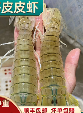 北海皮皮虾鲜活蒸熟即食琵琶虾爬