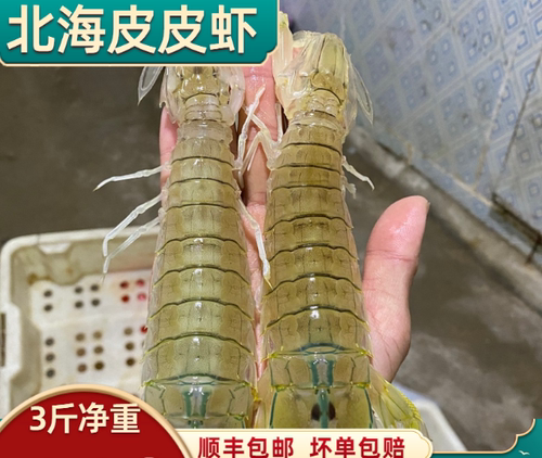 北海皮皮虾鲜活蒸熟即食琵琶虾爬
