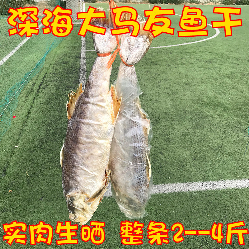 北海特产大马友鱼干咸鱼干马友鱼片马友鱼咸鱼干海鱼海鲜干货500g