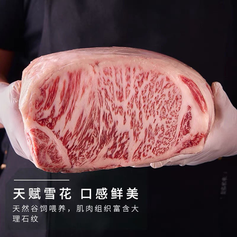 内蒙古牛排雪花牛肉牛肉雪花冷冻