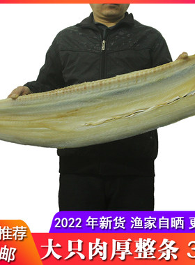 宁波海鳗干鳗鲡咸鱼干鳗鱼干