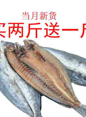 新货咸鲅鱼干500g马鲛鱼干海鲜干货刀鲅鱼干海鱼咸鱼干水产品
